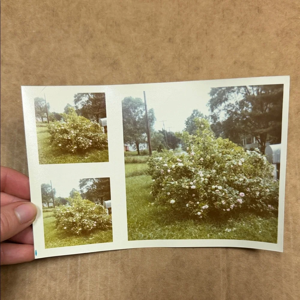 Vintage Photo Collection - Picture 2 of 11